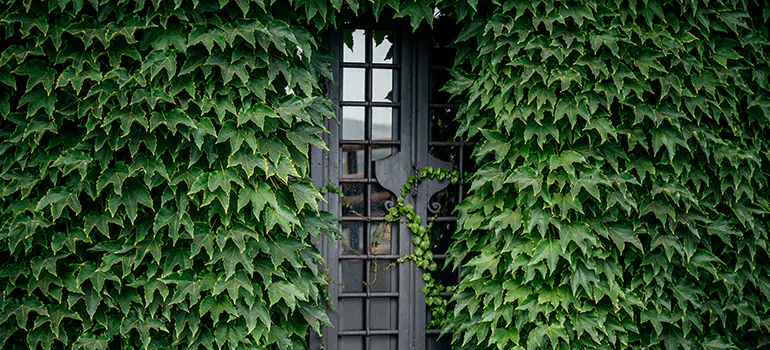 Garden Gate Repair in Kendall West, FL