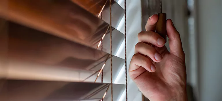 Double Roller Blinds in Kendall West, FL