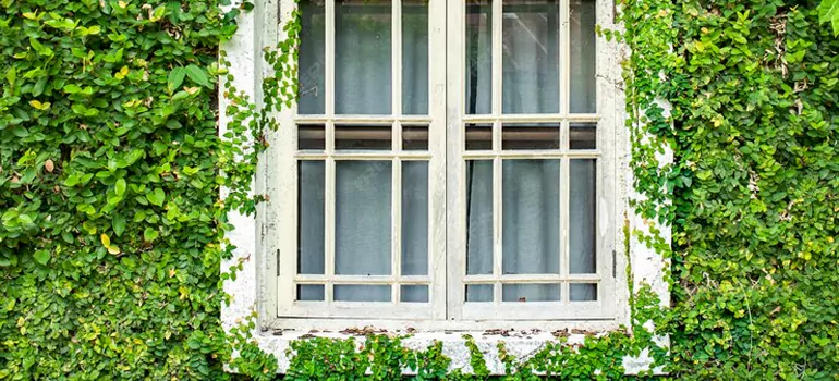 Garden Window Repair Near Me in Kendall West, FL