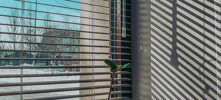 Commercial Window Blinds in Kendall West, FL