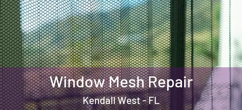  Window Mesh Repair Kendall West - FL