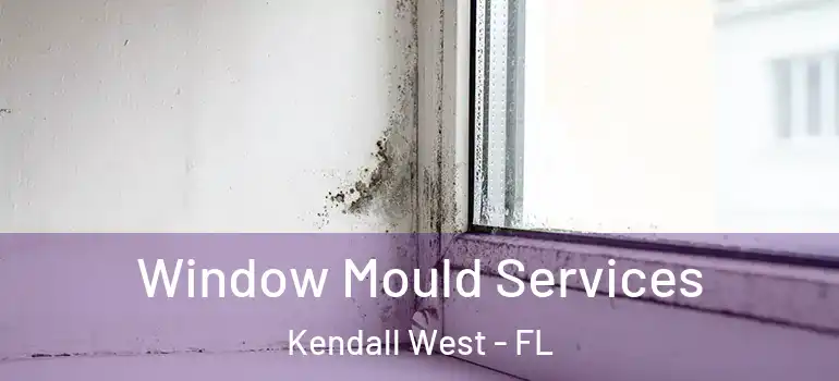  Window Mould Services Kendall West - FL